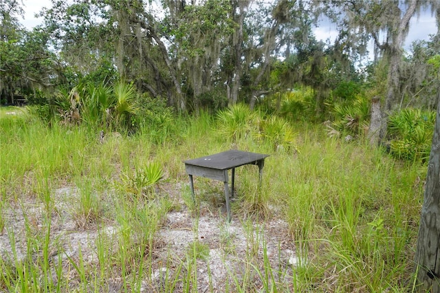 0 Woodville St, Lake Wales, FL 33853 - photo 34