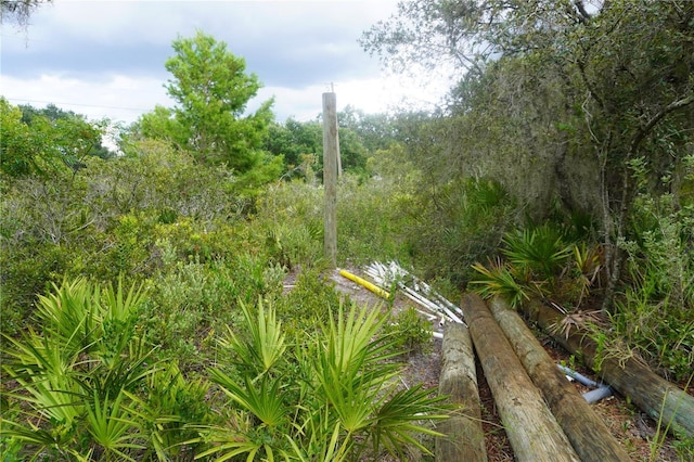 0 Woodville St, Lake Wales, FL 33853 - photo 35