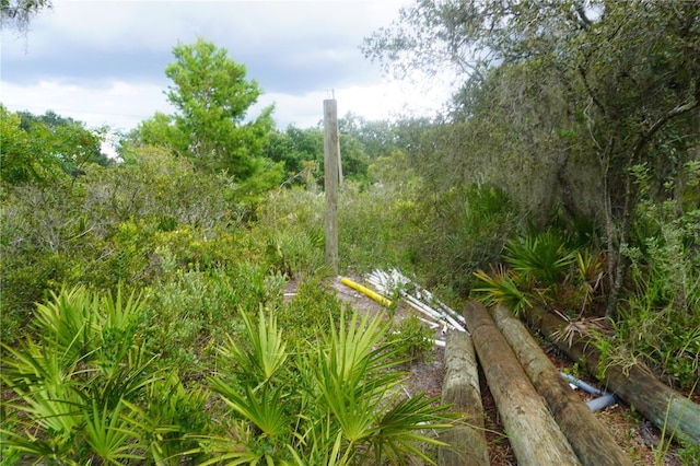0 Woodville St, Lake Wales, FL 33853 - photo 36