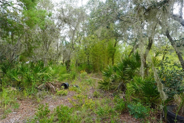 0 Woodville St, Lake Wales, FL 33853 - photo 37