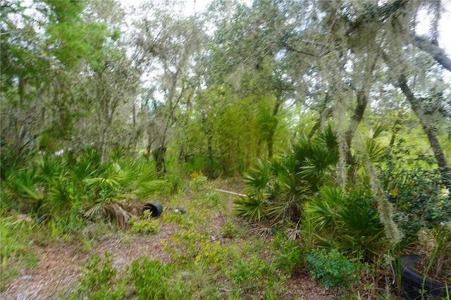 0 Woodville St, Lake Wales, FL 33853 - photo 38