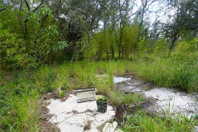 0 Woodville St, Lake Wales, FL 33853 - photo 39