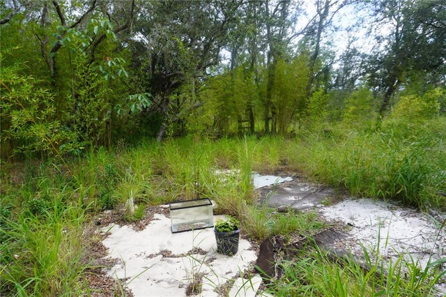 0 Woodville St, Lake Wales, FL 33853 - photo 40
