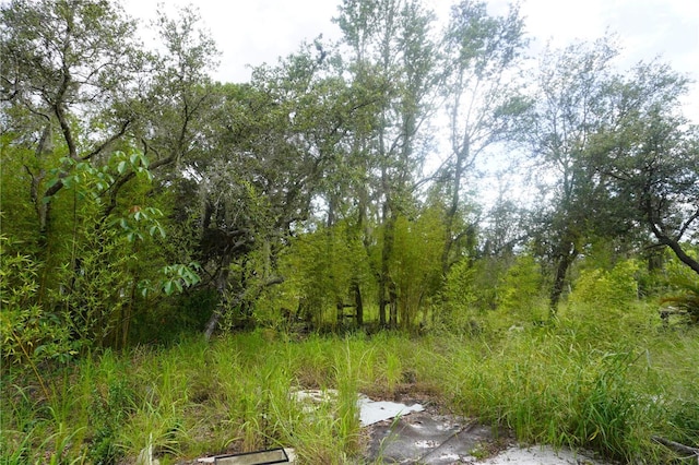 0 Woodville St, Lake Wales, FL 33853 - photo 41