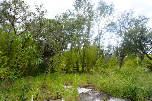 0 Woodville St, Lake Wales, FL 33853 - photo 42