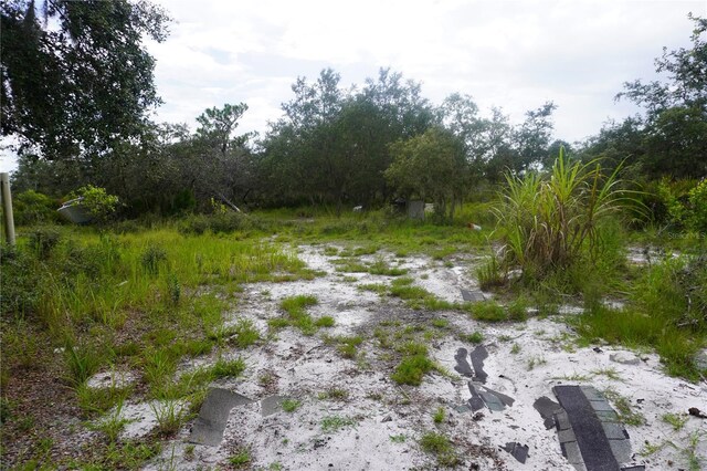 0 Woodville St, Lake Wales, FL 33853 - photo 43