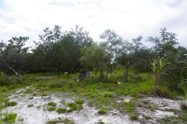 0 Woodville St, Lake Wales, FL 33853 - photo 45