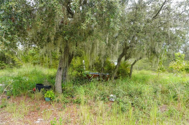 0 Woodville St, Lake Wales, FL 33853 - photo 46