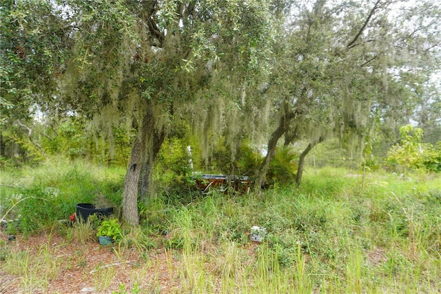 0 Woodville St, Lake Wales, FL 33853 - photo 47