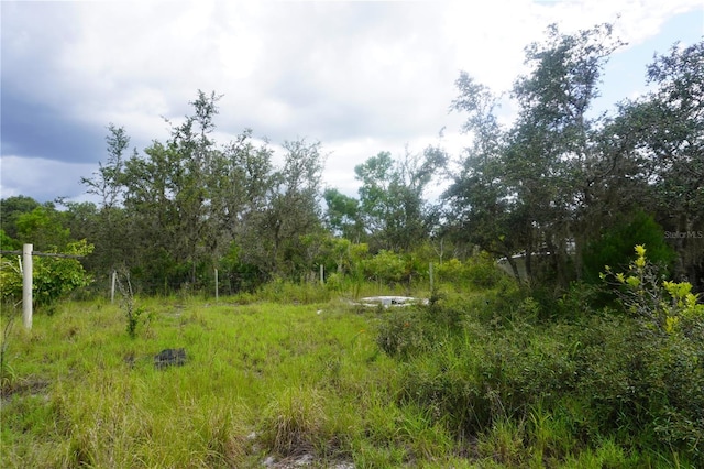 0 Woodville St, Lake Wales, FL 33853 - photo 48
