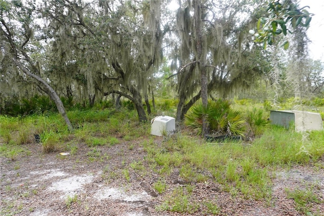 0 Woodville St, Lake Wales, FL 33853 - photo 50