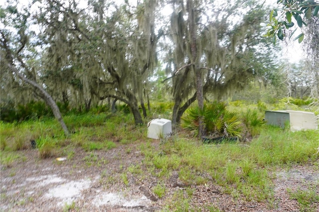 0 Woodville St, Lake Wales, FL 33853 - photo 51