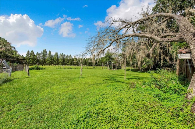 4430 1st St NW, Lakeland, FL 33810 - view of yard