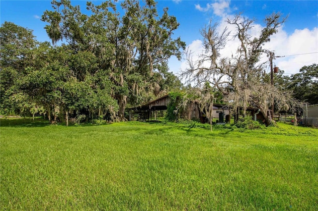 4430 1st St NW, Lakeland, FL 33810 - view of grassy yard