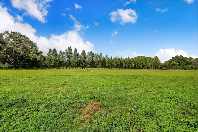 4430 1st St NW, Lakeland, FL 33810 - view of green lawn with a view of countryside and a wooded view