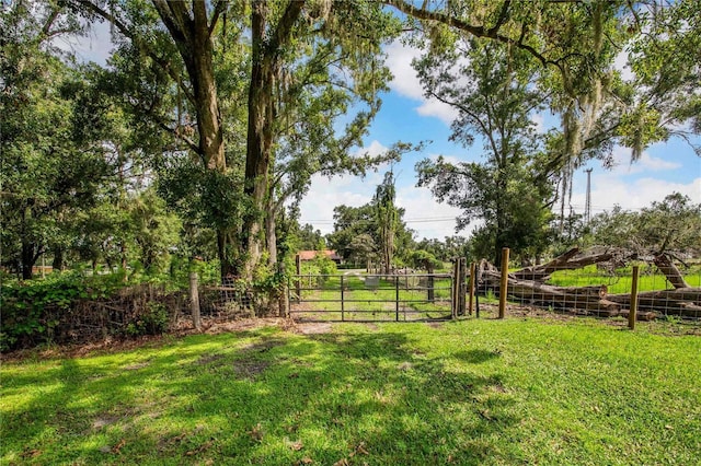 4430 1st St NW, Lakeland, FL 33810 - view of yard featuring a gate