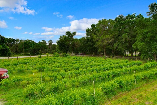 3510 Walk In Water Rd, Lake Wales, FL 33898 - photo 2