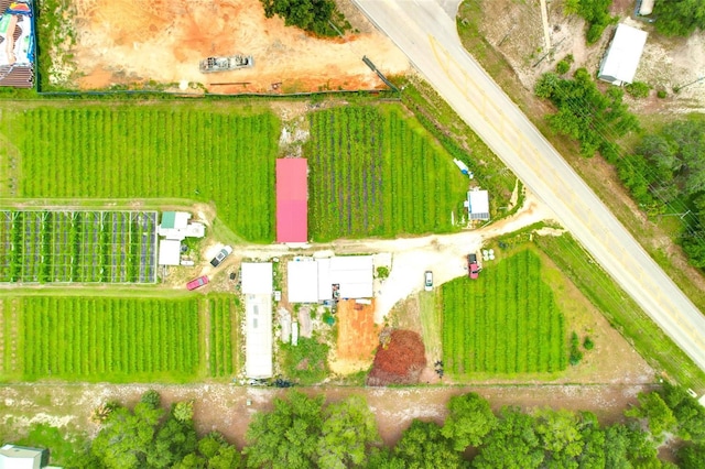 3510 Walk In Water Rd, Lake Wales, FL 33898 - photo 14
