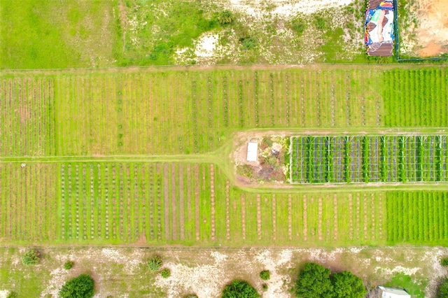 3510 Walk In Water Rd, Lake Wales, FL 33898 - photo 17