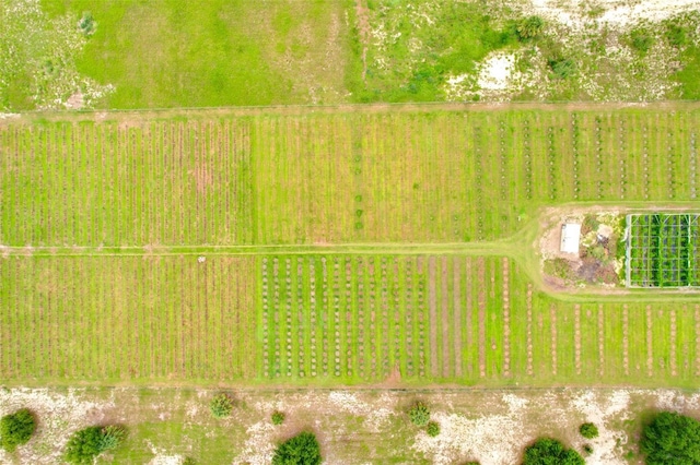 3510 Walk In Water Rd, Lake Wales, FL 33898 - photo 18