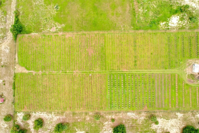 3510 Walk In Water Rd, Lake Wales, FL 33898 - photo 19