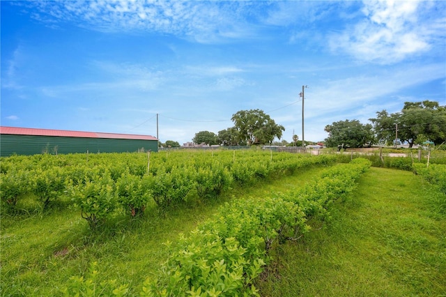 3510 Walk In Water Rd, Lake Wales, FL 33898 - photo 38