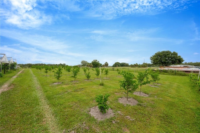 3510 Walk In Water Rd, Lake Wales, FL 33898 - photo 61