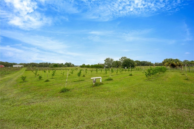 3510 Walk In Water Rd, Lake Wales, FL 33898 - photo 63