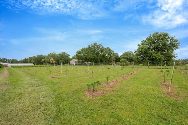 3510 Walk In Water Rd, Lake Wales, FL 33898 - photo 65