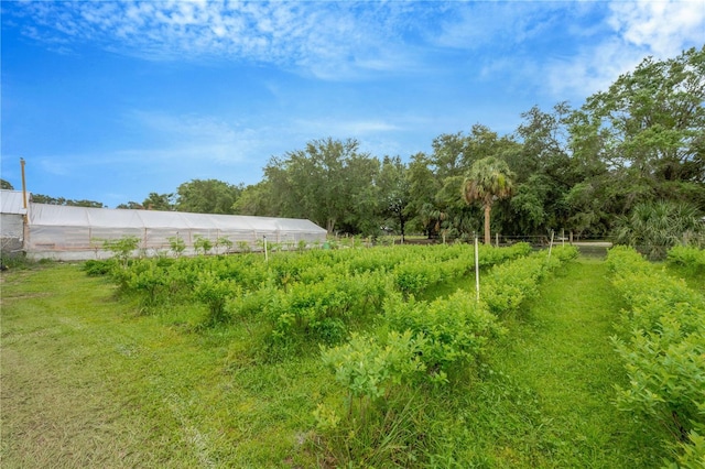 3510 Walk In Water Rd, Lake Wales, FL 33898 - photo 67