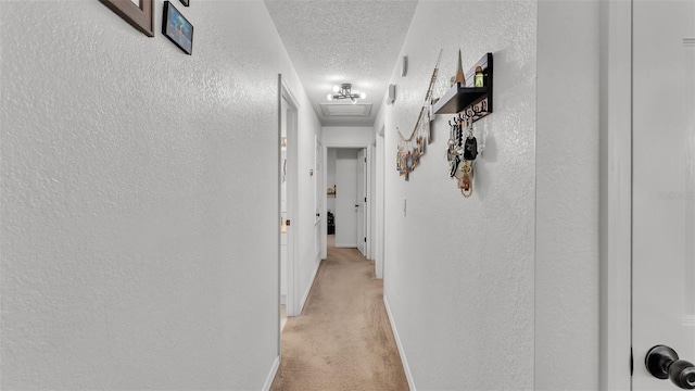 815 Everett St, Lake Alfred, FL 33850 - hallway featuring a textured wall, light colored carpet, and a textured ceiling