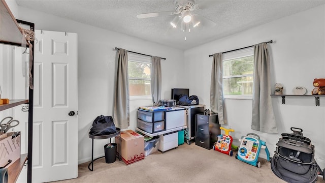 815 Everett St, Lake Alfred, FL 33850 - carpeted home office featuring plenty of natural light, ceiling fan, and a textured ceiling