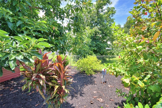 2814 Grapefruit Dr, Auburndale, FL 33823 - view of yard