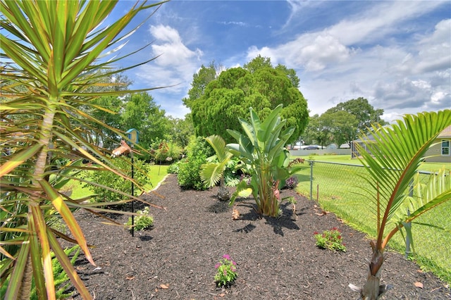 2814 Grapefruit Dr, Auburndale, FL 33823 - view of yard