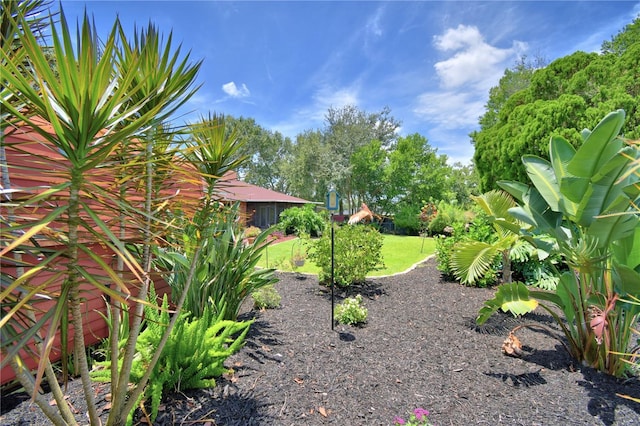 2814 Grapefruit Dr, Auburndale, FL 33823 - view of grassy yard featuring view of scattered trees