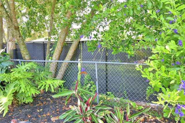 2814 Grapefruit Dr, Auburndale, FL 33823 - view of yard