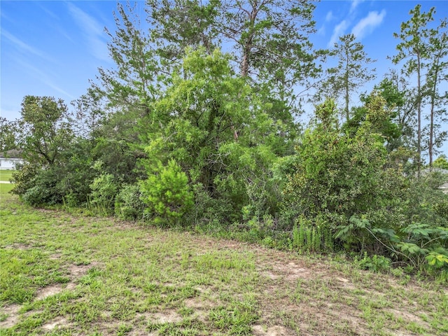 Marion Oaks, Ocala, FL 34479