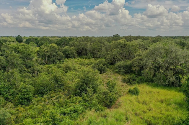 Sugarfoot Ave, Lake Wales, FL 33859 - photo 4
