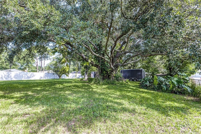 2056 Broken Arrow Trl N, Lakeland, FL 33813 - view of yard