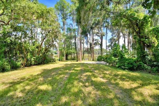 6317 Discovery Ln, Land O Lakes, FL 34638 - photo 6