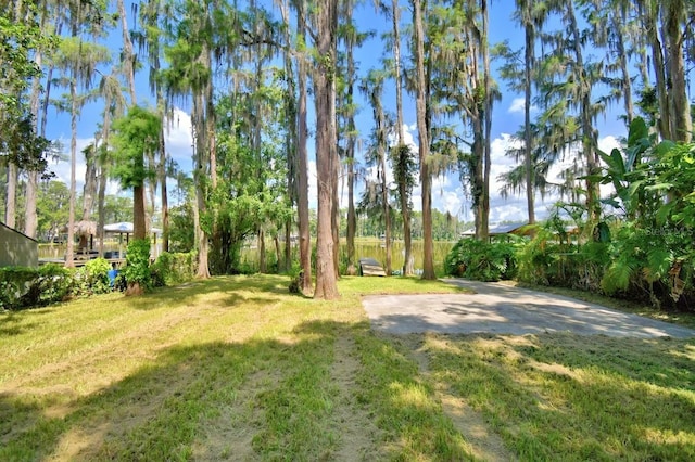 6317 Discovery Ln, Land O Lakes, FL 34638 - photo 7