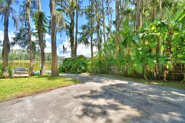 6317 Discovery Ln, Land O Lakes, FL 34638 - photo 8