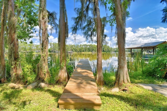 6317 Discovery Ln, Land O Lakes, FL 34638 - photo 9