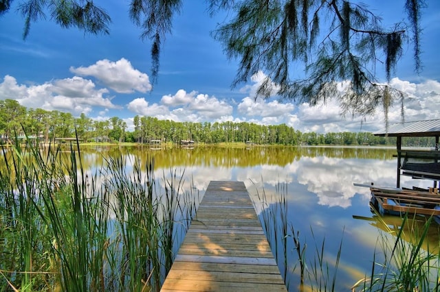 6317 Discovery Ln, Land O Lakes, FL 34638 - photo 10