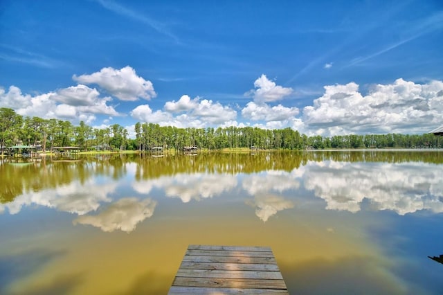 6317 Discovery Ln, Land O Lakes, FL 34638 - photo 11