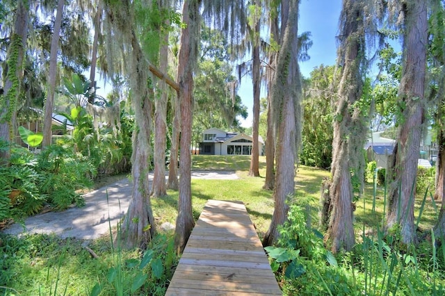 6317 Discovery Ln, Land O Lakes, FL 34638 - photo 12
