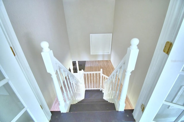 6317 Discovery Ln, Land O Lakes, FL 34638 - photo 44
