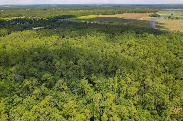 0 US Highway 98 W, Frostproof, FL 33843 - photo 10