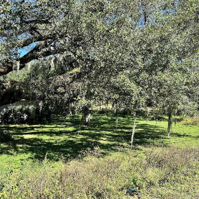 4504 E County Road 540a, Lakeland, FL 33813 - photo 6