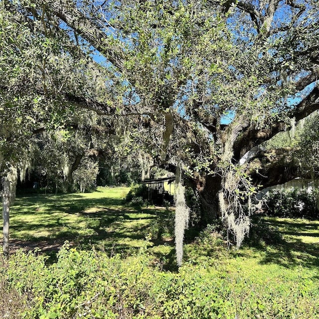 4504 E County Road 540a, Lakeland, FL 33813 - photo 7